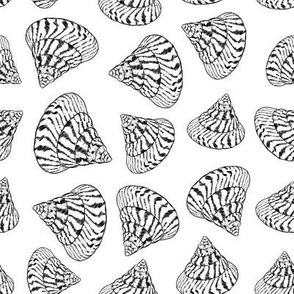 Summer concept with Unique sea shells, sea snails. Sketch black contour on white background.