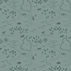 Steel Blue Forest Map Medium