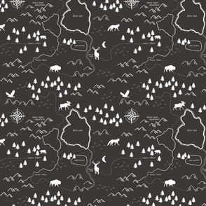 Black and White Forest Map Medium