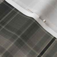 Grey and Black Large Scale Plaid