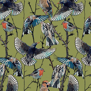 Window Garden Birds - olive green