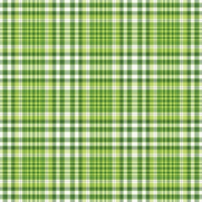 Bright Green Saint Patrick's Day Plaid