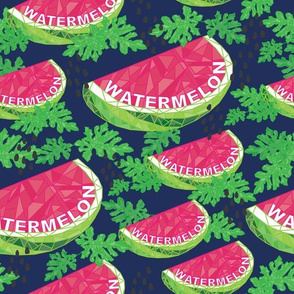 Geo Watermelon Navy
