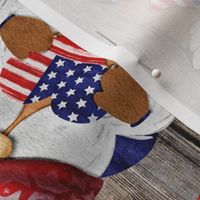 Stars and Stripes Flag Gnomes on Barn Wood Rotated - large scale