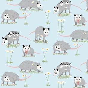 160 Cute Possum Backgrounds Illustrations RoyaltyFree Vector Graphics   Clip Art  iStock