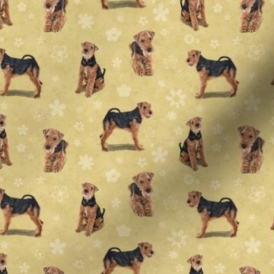 The Welsh Terrier Dog Yellow
