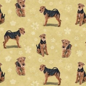 The Welsh Terrier Dog Yellow