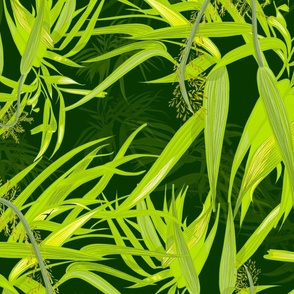 Broad leaved bristle grass jungle green