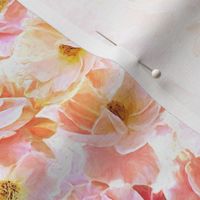 Abstracted Full Blown Roses in Candy Pink and Cream - small 