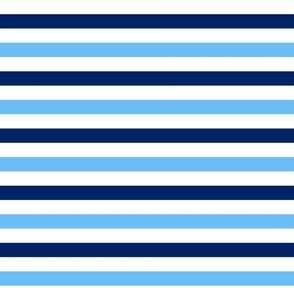 stripes winter 2