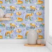 London foxes on blue background