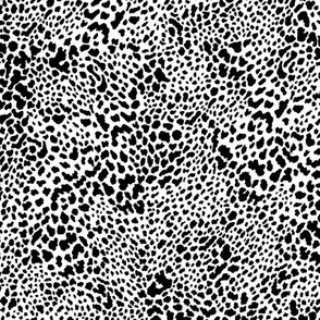  Ditsy Leopard Spots Black & White