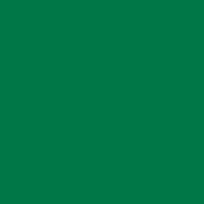 Color Map v2.1 Z33 #00744A - Emerald Green