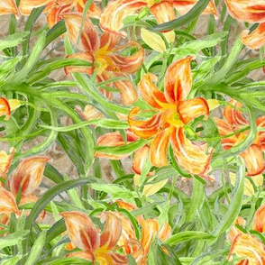day lilies 24 x 24 A4