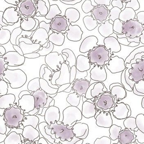 Soft violet Waxflowers  Medium