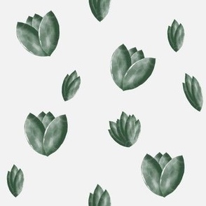 Green Succulents . Watercolor. off white background