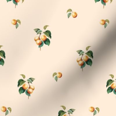 Apricots v2 Nectar // small
