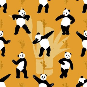 Panda Dance Orange