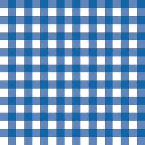 Blue Gingham - Small (July 4th Collection)