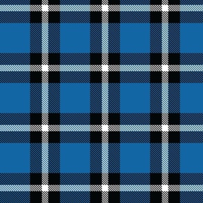 Blue Plaid - Large (July 4th Collection)