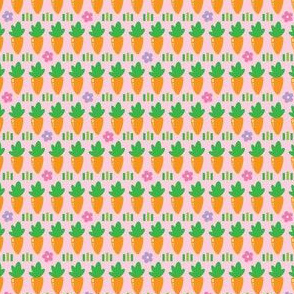 carrot rows with grass on pink