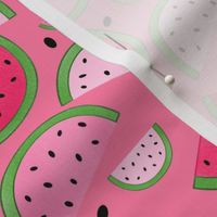 Watermelon Slices - Medium Scale