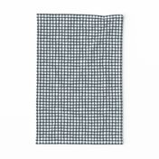 Loosey Goosey Gingham in Navy