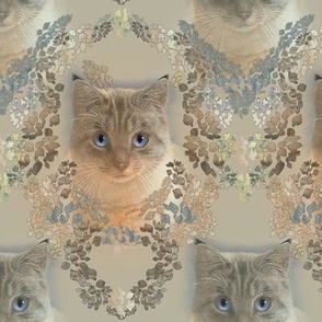 6x8-Inch Repeat of Damask of Cats in Golden Beige