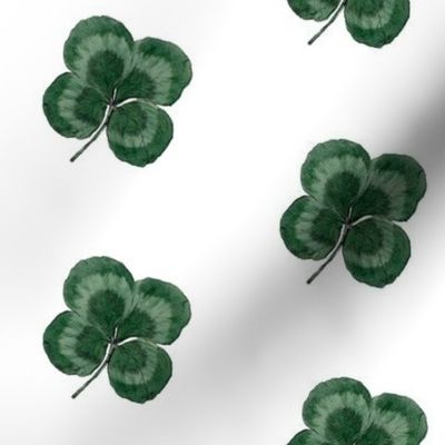  Lucky four leaf clover / shamrock print  2 (medium)