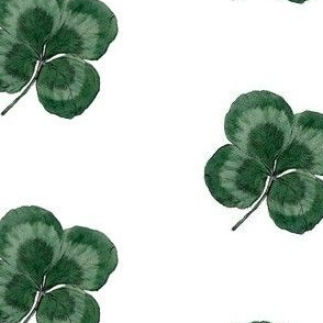  Lucky four leaf clover / shamrock print  2 (medium)