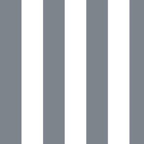 Large Steel Grey Awning Stripe Pattern Vertical in White