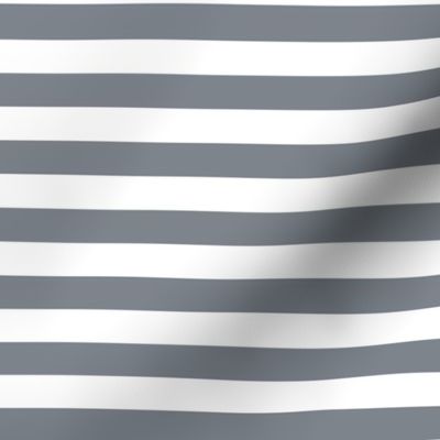 Steel Grey Awning Stripe Pattern Horizontal in White