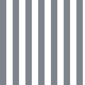 Steel Grey Awning Stripe Pattern Vertical in White