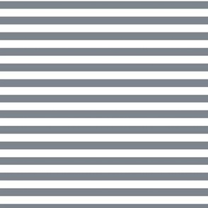 Steel Grey Bengal Stripe Pattern Horizontal in White