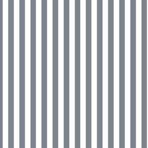 Steel Grey Bengal Stripe Pattern Vertical in White