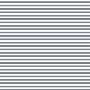 Small Steel Grey Bengal Stripe Pattern Horizontal in White