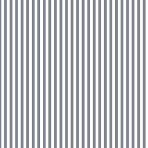 Small Steel Grey Bengal Stripe Pattern Vertical in White