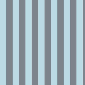 Pastel Blue Awning Stripe Pattern Vertical in Steel Grey