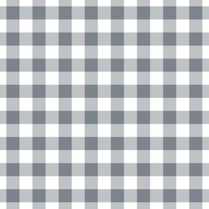 Gingham Pattern - Steel Grey and White