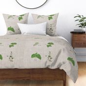 herb_set_rosemary_thyme_parsley_basil_abstractloren_peace_up