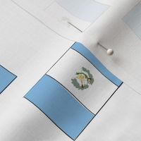 Guatemala Flag