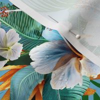 Tropical Hibiscus Orange flowers