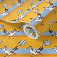 Roadrunner on sunny yellow stripes | medium