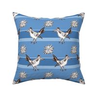 Roadrunner on light blue stripes large