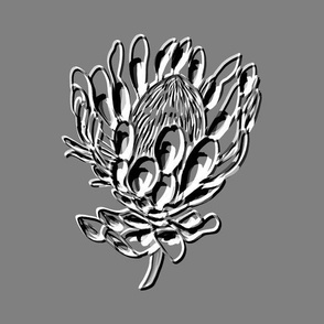 protea black and white embossed grey