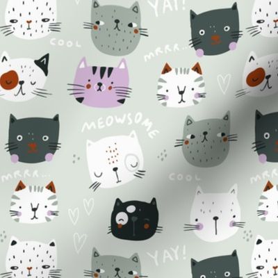 Funny cats faces on mint