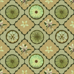 Kitchen Wallpaper green and tan small scale