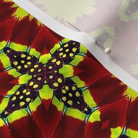 Red and Yellow Chrysanthemum Colors Pattern #7