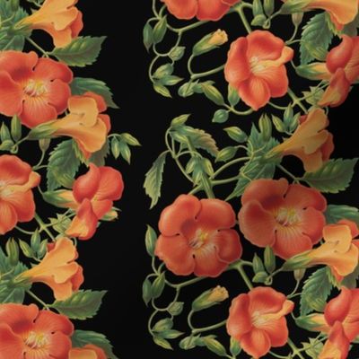 Vintage orange flowers rows papaya black