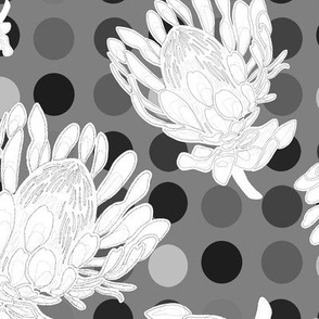 protea black and white grey dots
